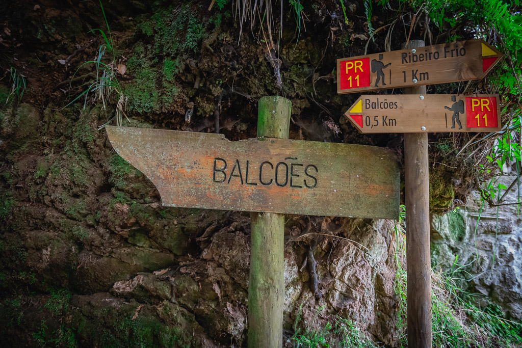 Lewada do Balcoes - trasa trekkingowa, którą musisz zrobić na Maderze
